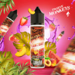 Twelve Monkeys - Sanctuary