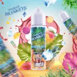 Twelve Monkeys - Mangabeys Iced (SALE)